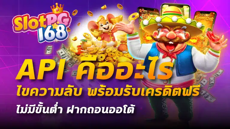 api คืออะไร